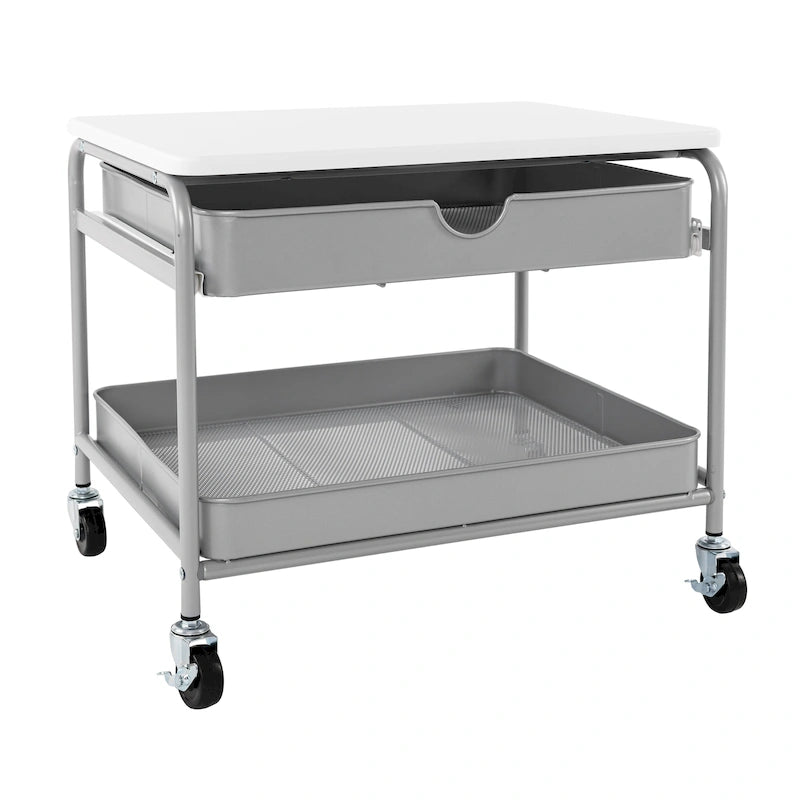 Druckerwagen zur Aufbewahrung unter dem Schreibtisch mit ausziehbarem Korb, Silber und Weiß, rollbar